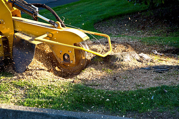 Best Landscape Design and Installation  in Richfield Springs, NY